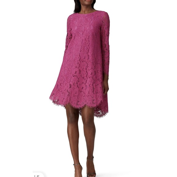 Adam Lippes Dresses & Skirts - Adam Lippes Long Sleeve Lace Trapeze Midi Dress Women 8 Pink Feminine Romantic